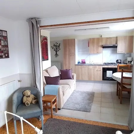 Appartement Le Terrier à Chamberet Extérieur photo