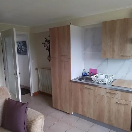 Appartement Le Terrier à Chamberet Extérieur photo